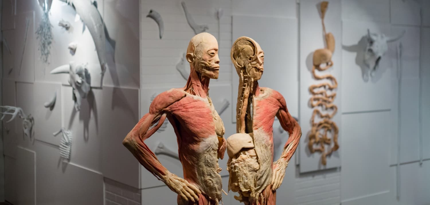 Weekend Guide 28 April 2018