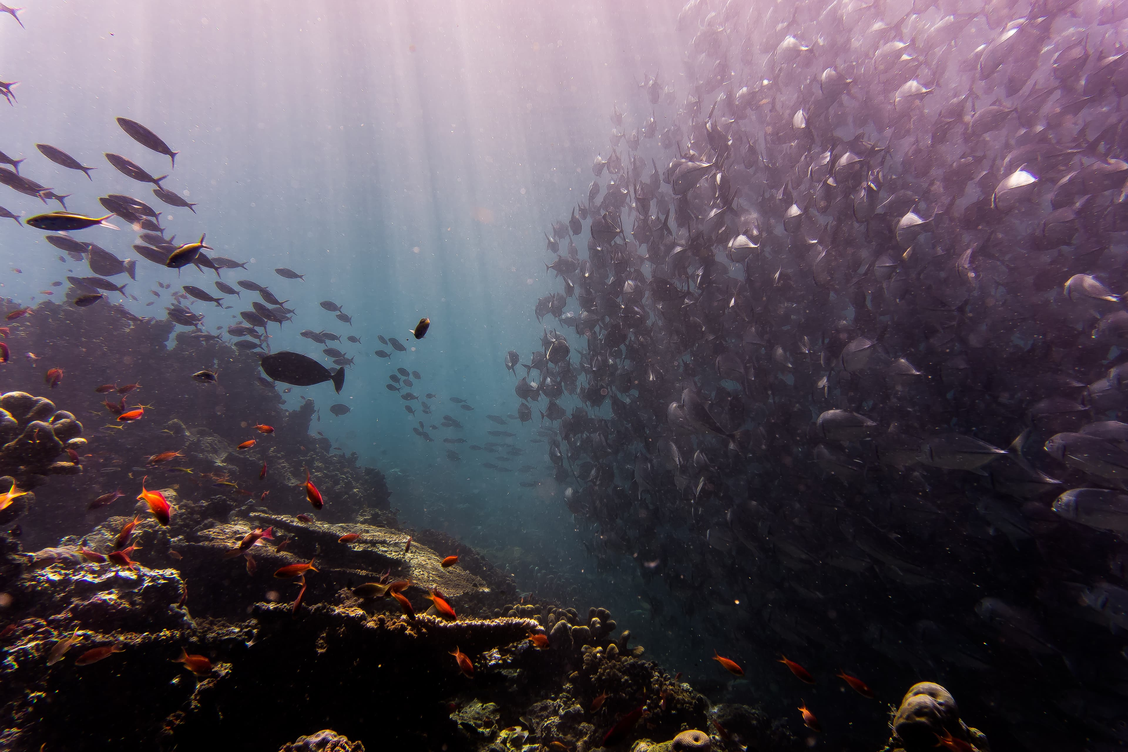 Federal Budget 2018: Environment, Agriculture and Energy