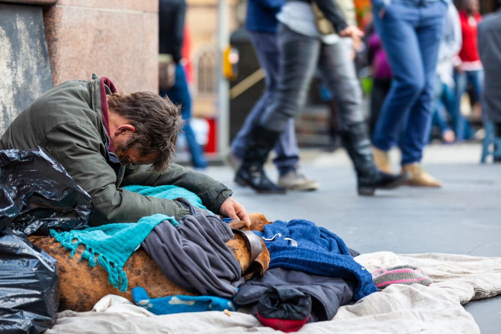 Federal Budget 2018: Social Services