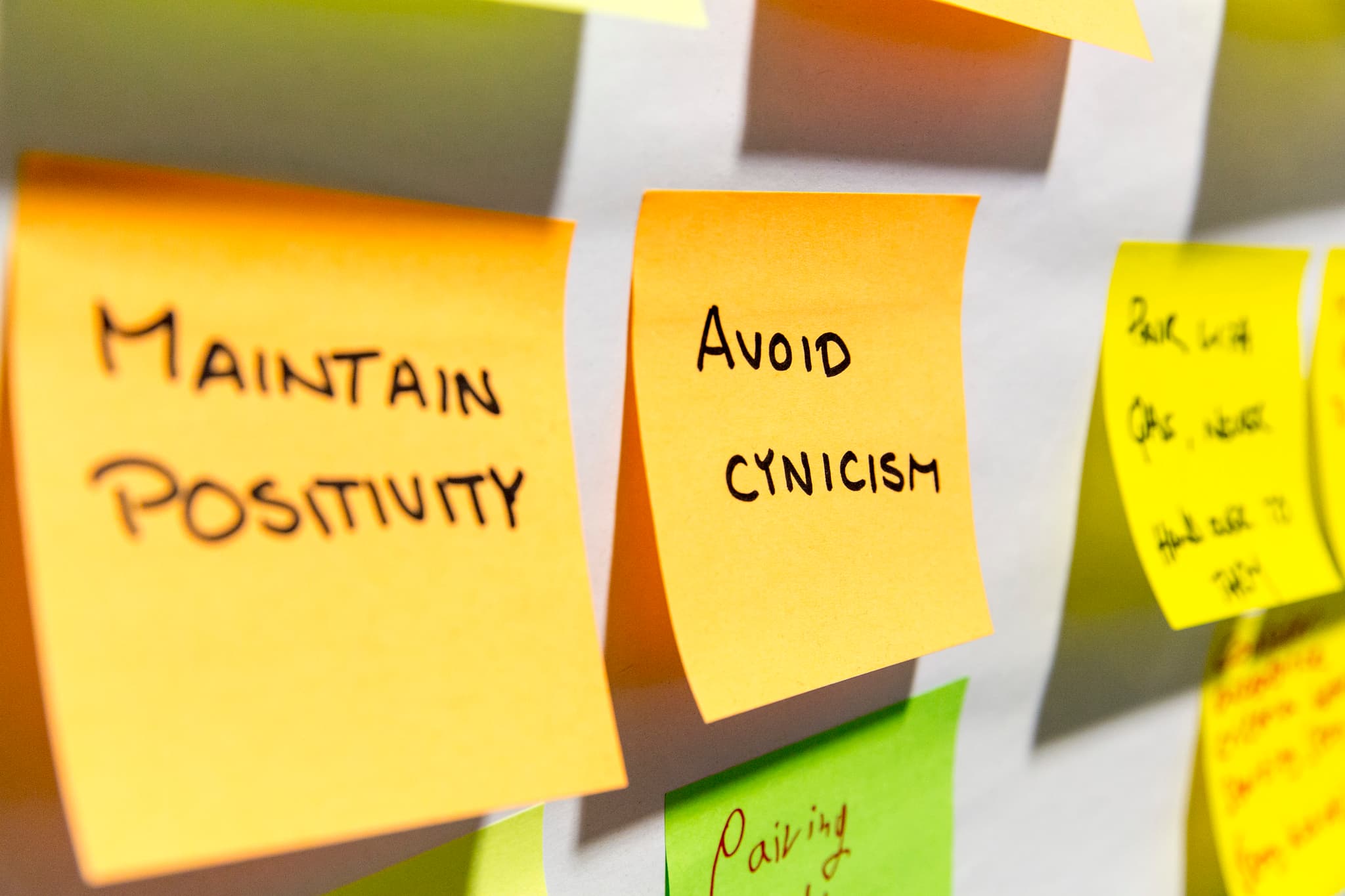 More Civil Societies with Julie Macken: Cynicism and Society