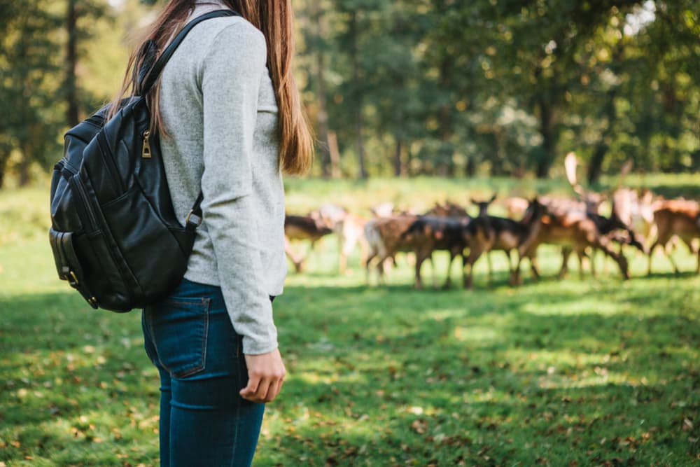 Doing It for the kids