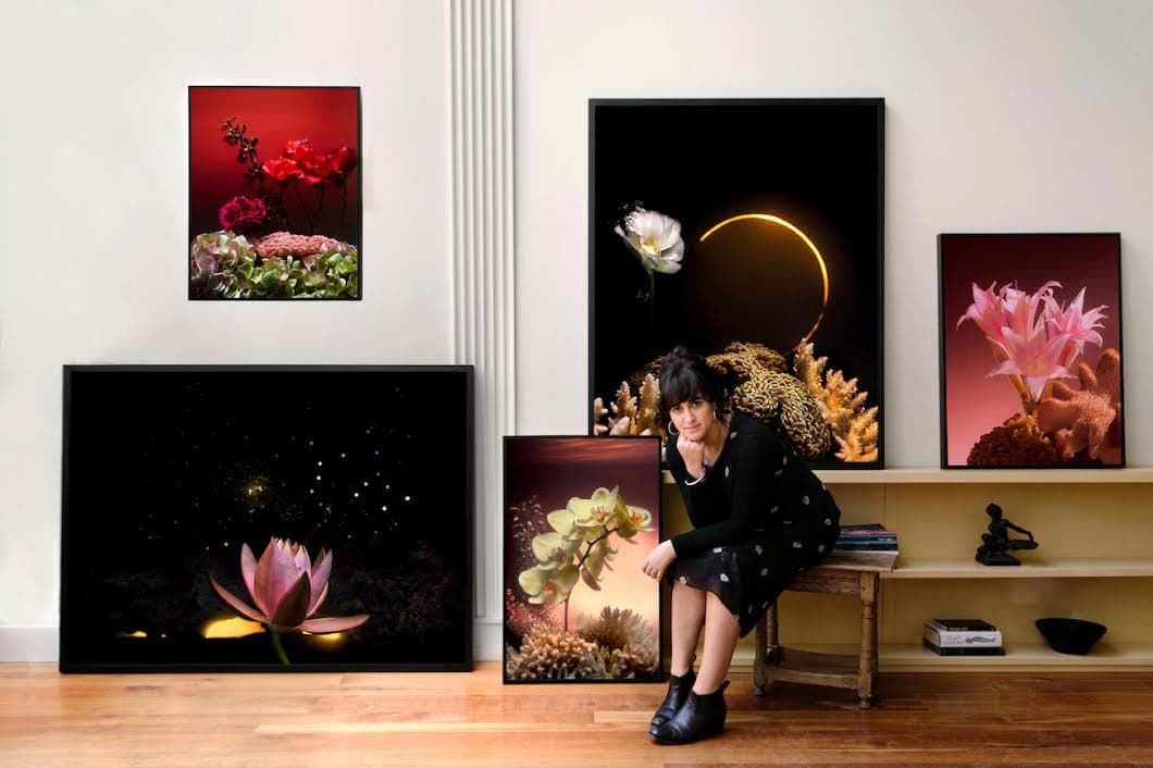 Lilli Waters: Coral Lands