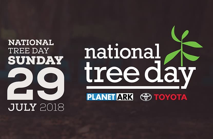 National Tree Day: Get Your Hands Dirty
