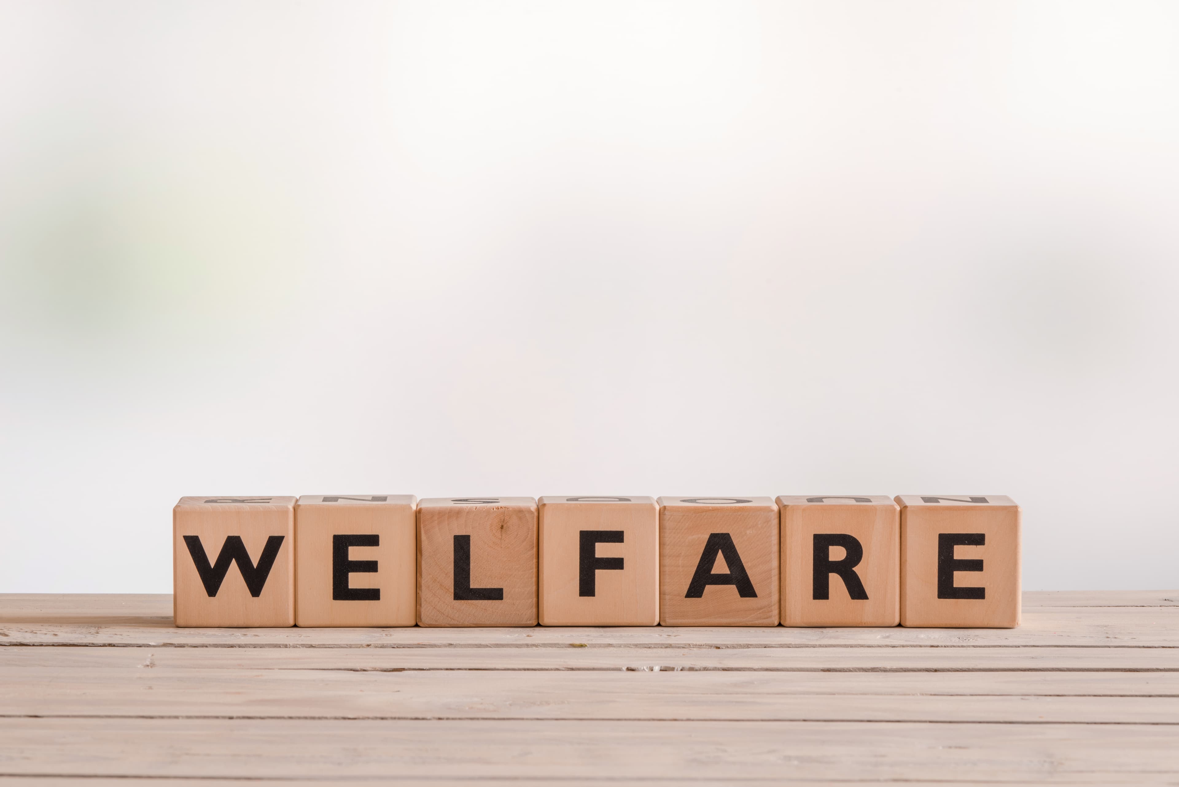 More Civil Societies with Eva Cox: Cashless Welfare and Mean Means-Testing