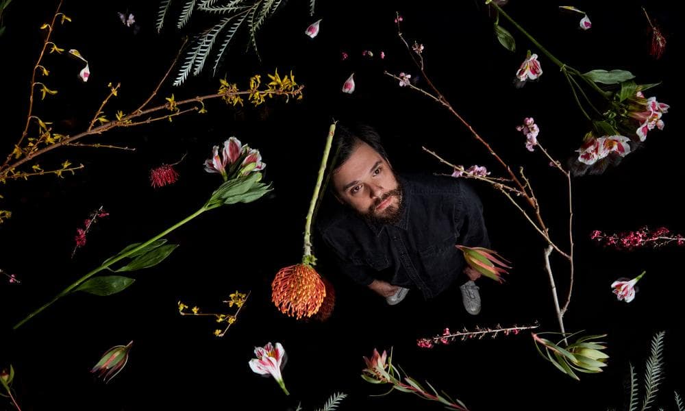 Get down for Dirty Projectors