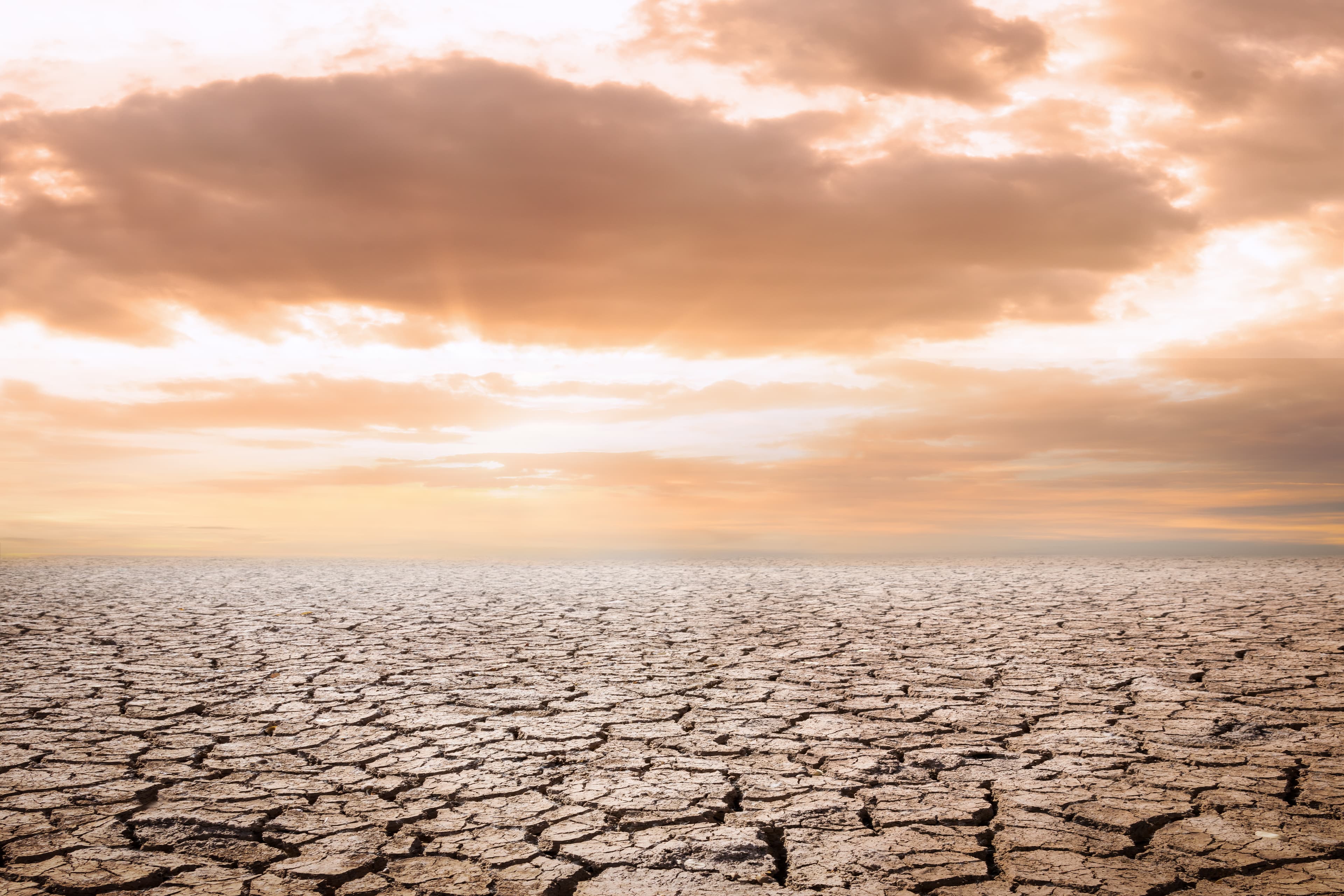 Dry land beneath a bright sky