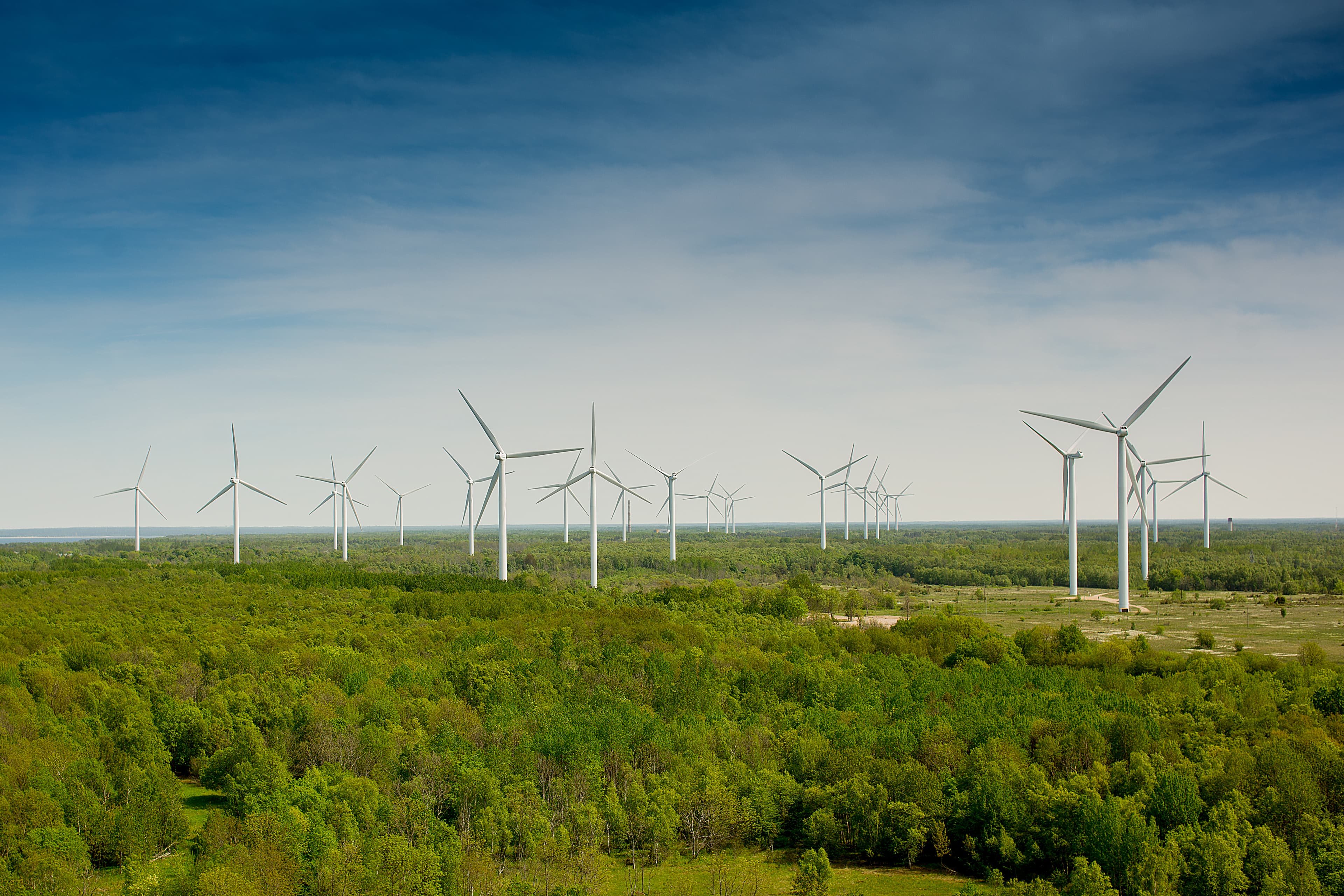 National Energy Guarantee Upset