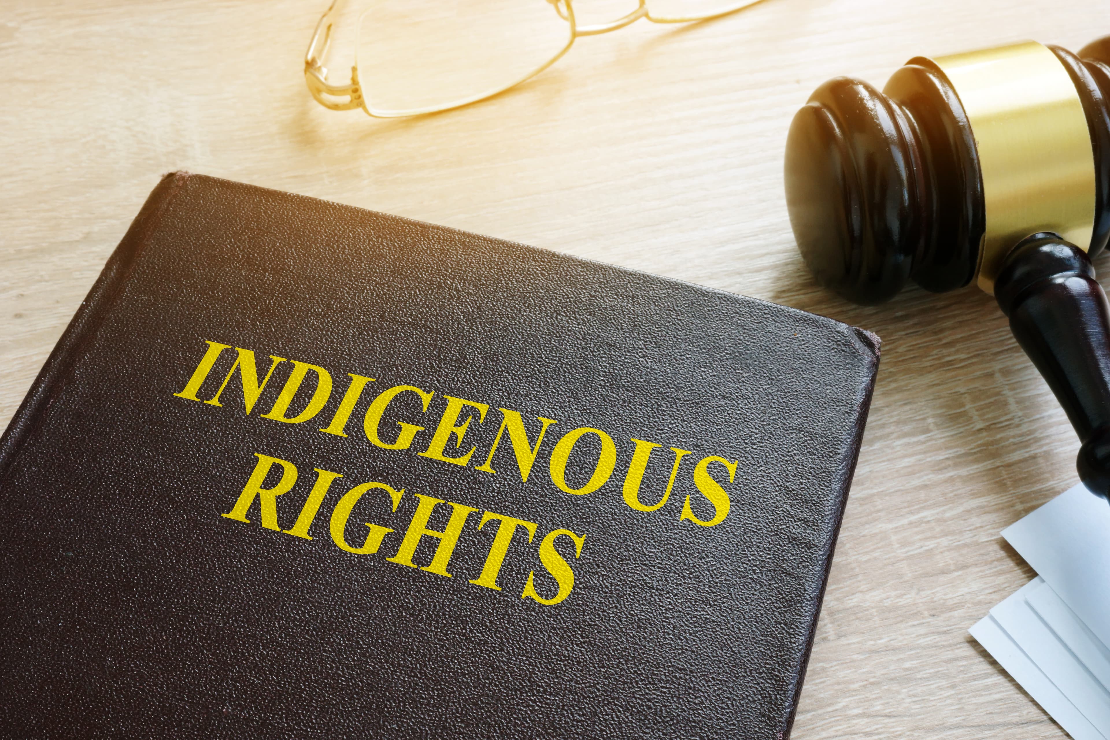 Deaths Inside: Indigenous Deaths in Custody