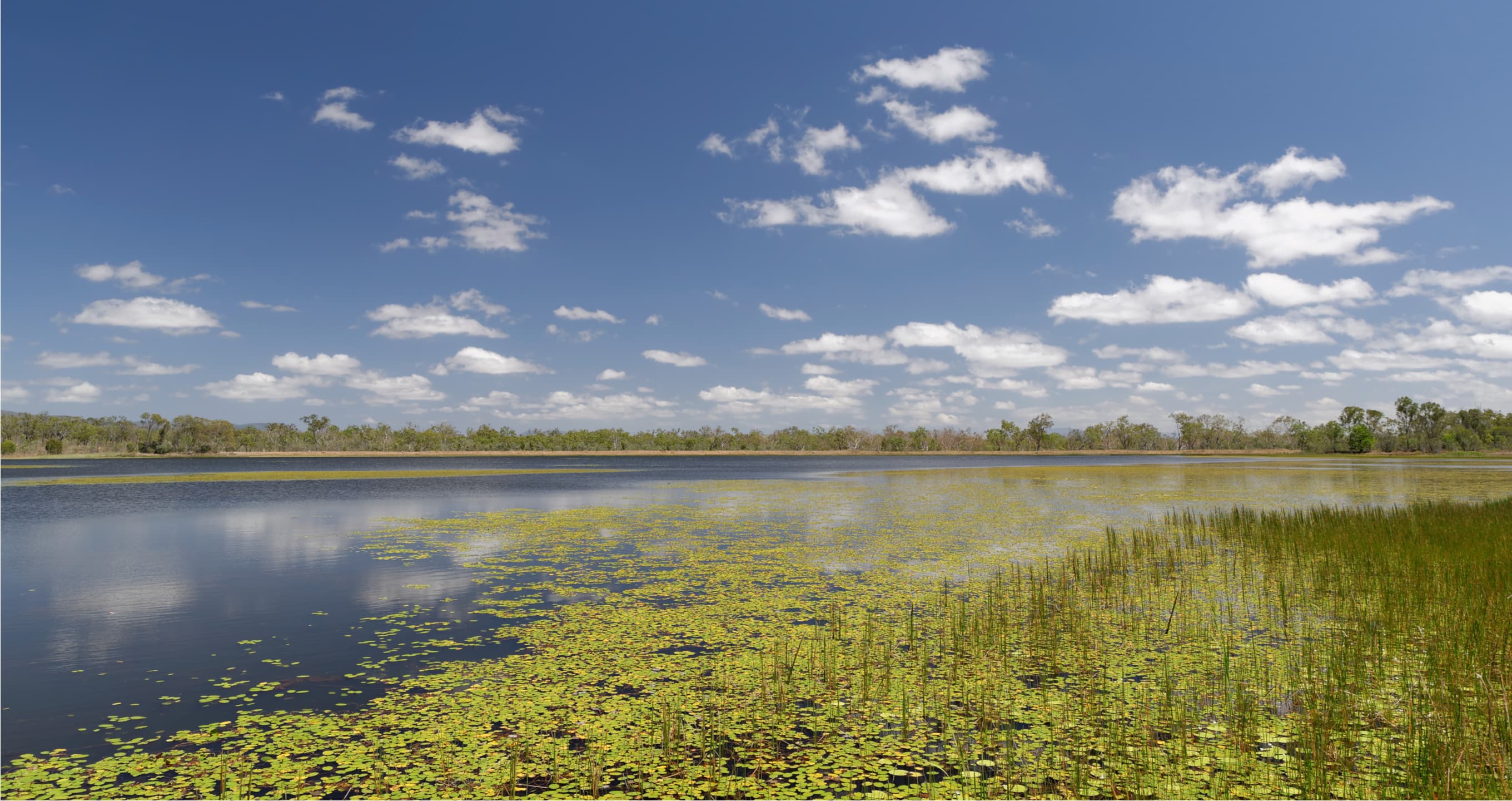 Music and the Environment: When Art Meets Science