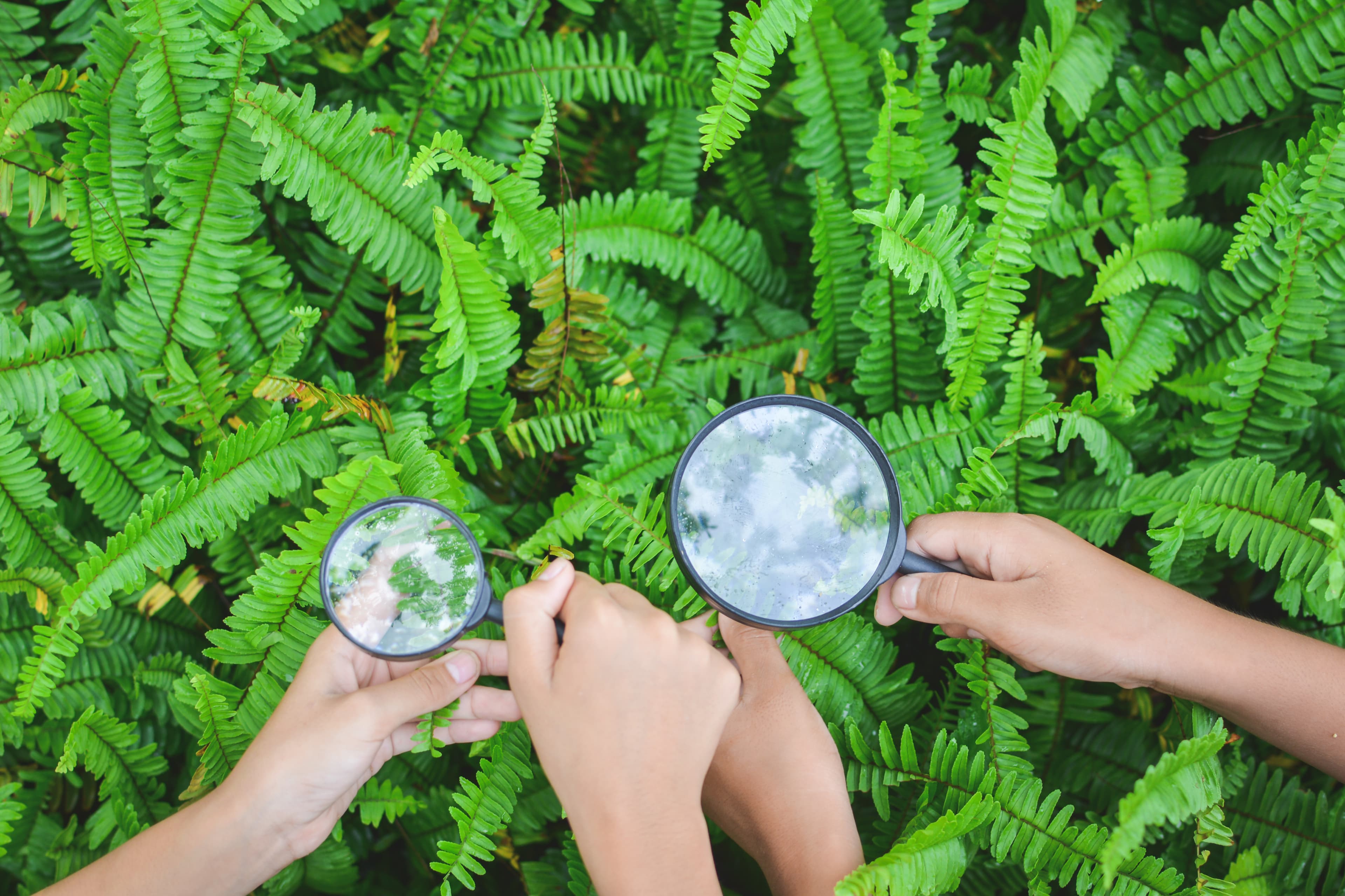 A Quest to Save Biodiversity