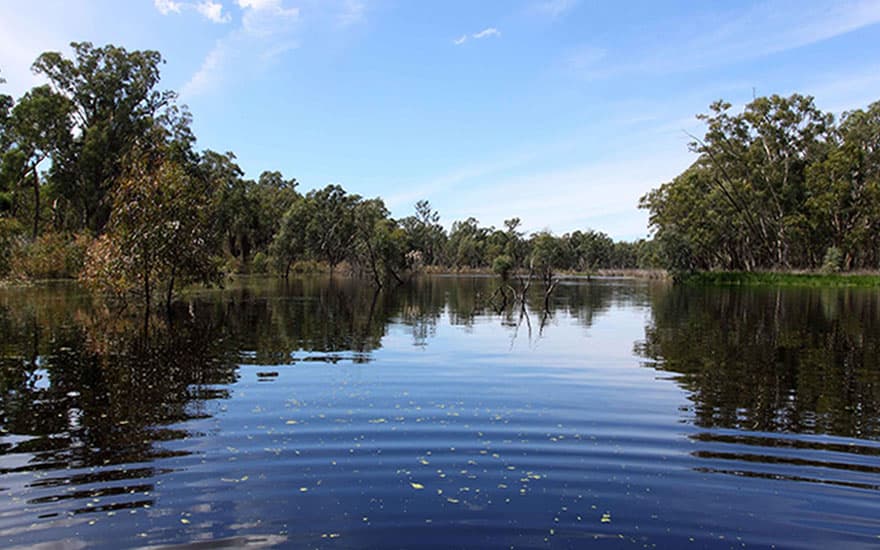 Can Borrowing Environmental Water Help Farmers?