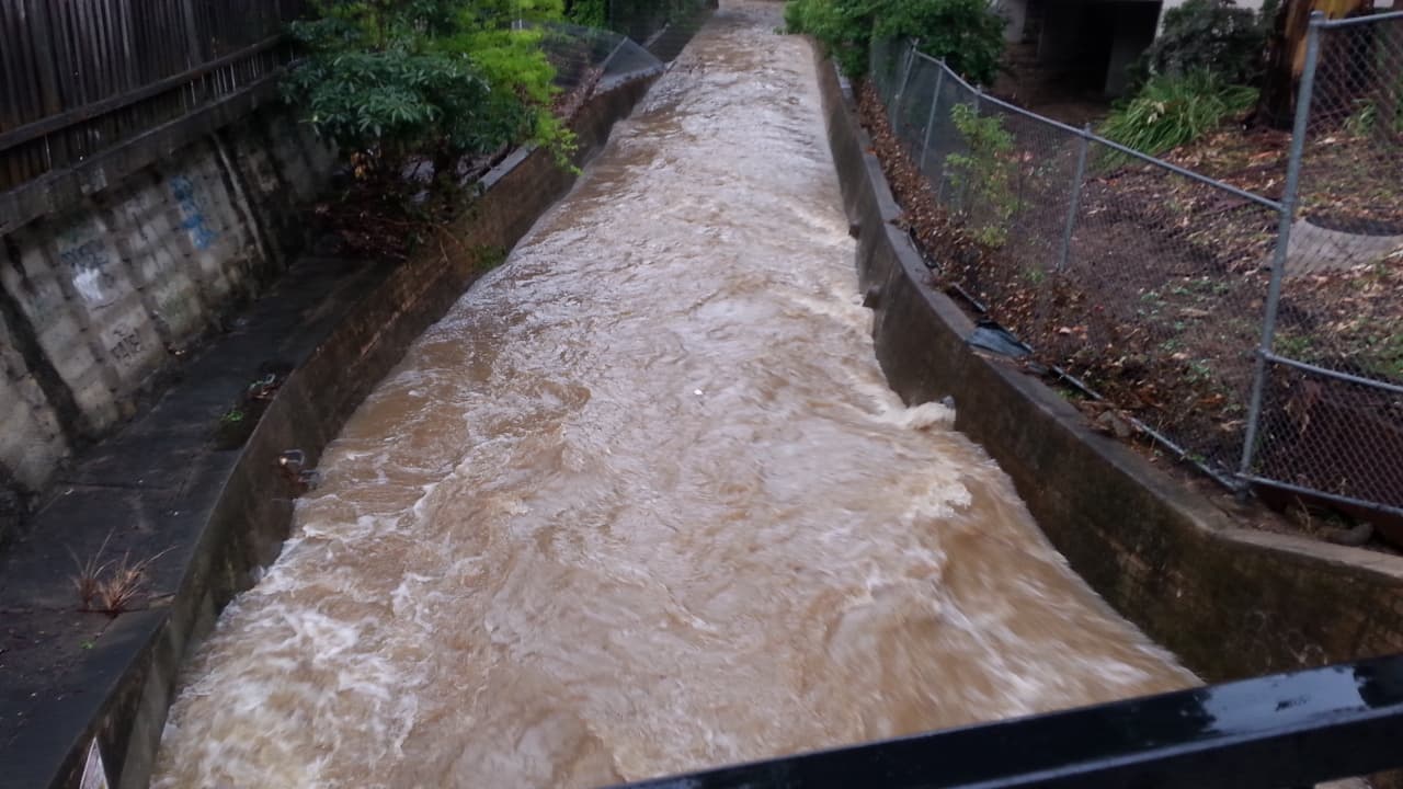 The Weekly Wrap November 30th 2018