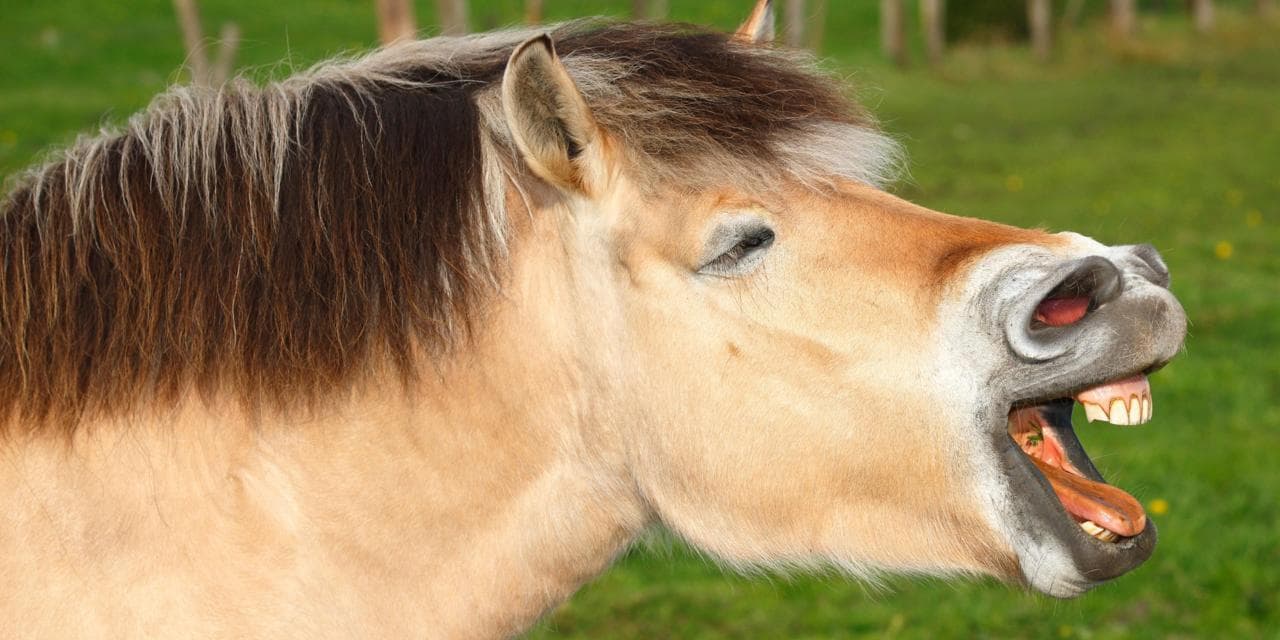 That Was A Terrible Idea