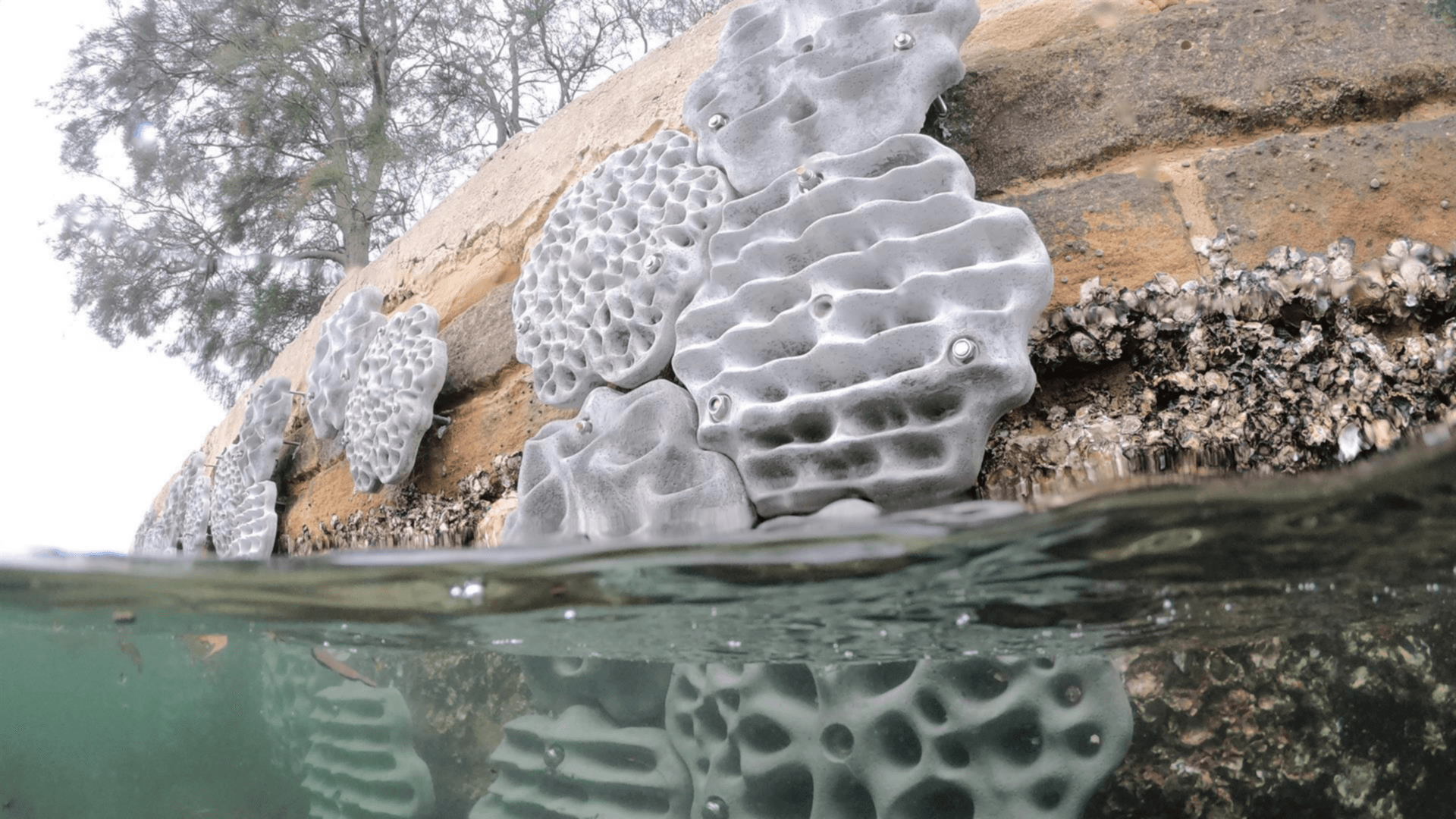 The State of Sydney Harbour