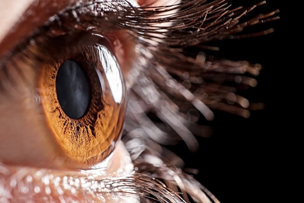 Breakthrough Making Corneal Transplantation Easier