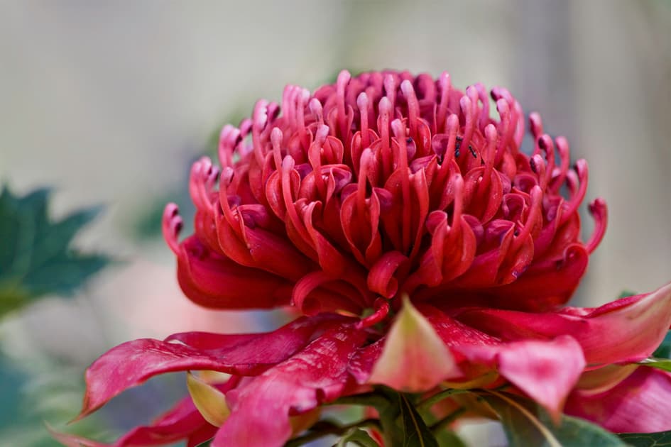 The Year 2001 and the Secret Garden of UTS