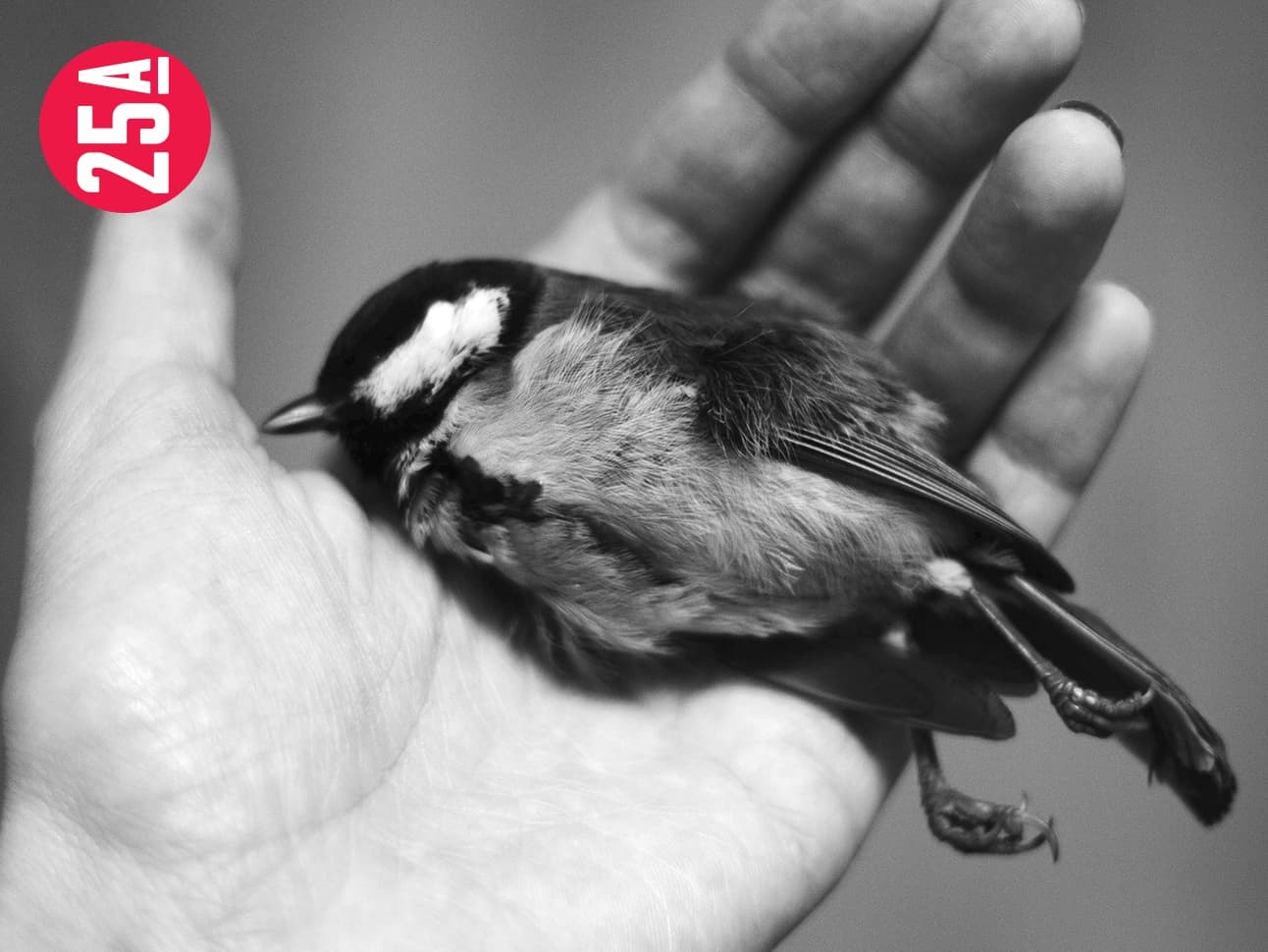 Extinction of the Learned Response