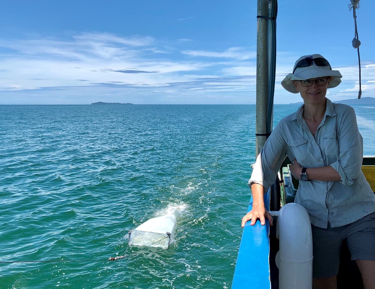 Microplastics, a Widespread Concern