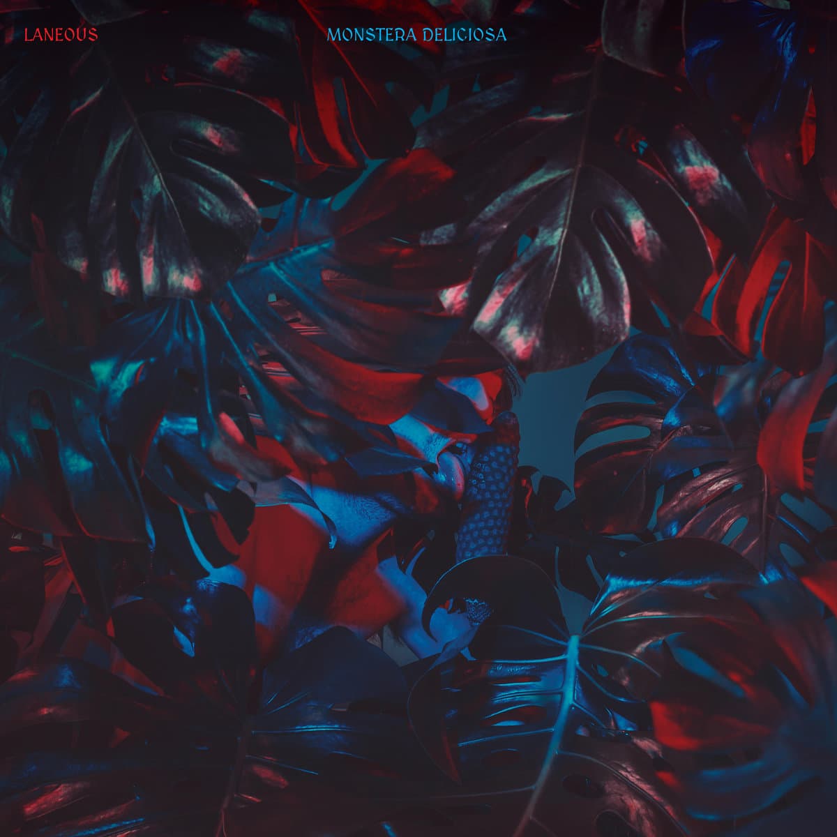 New Music with Steph Liong