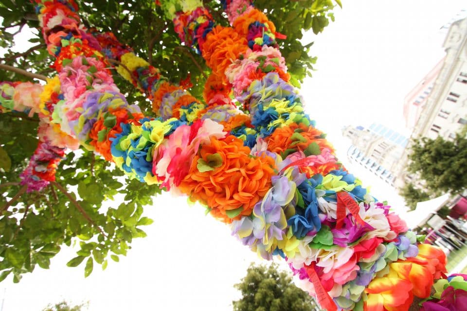 Here is Your Horizon