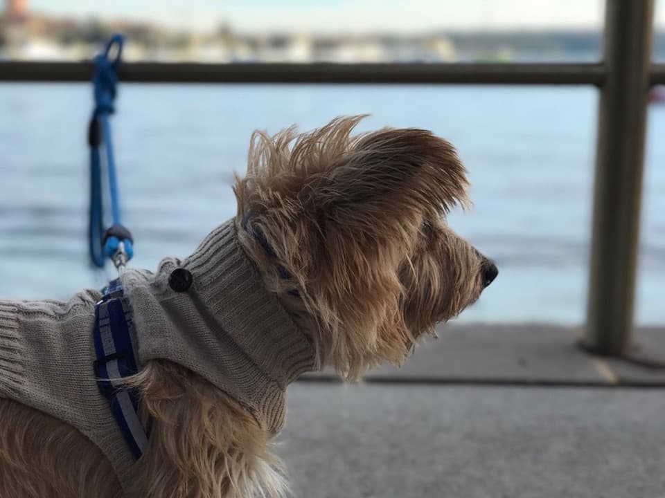 Life According to Tony-Twonames Episode 7