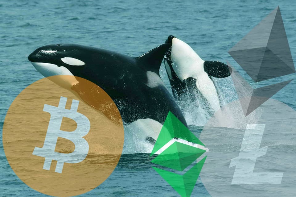 A Deep Dive into Bitcoin Whales
