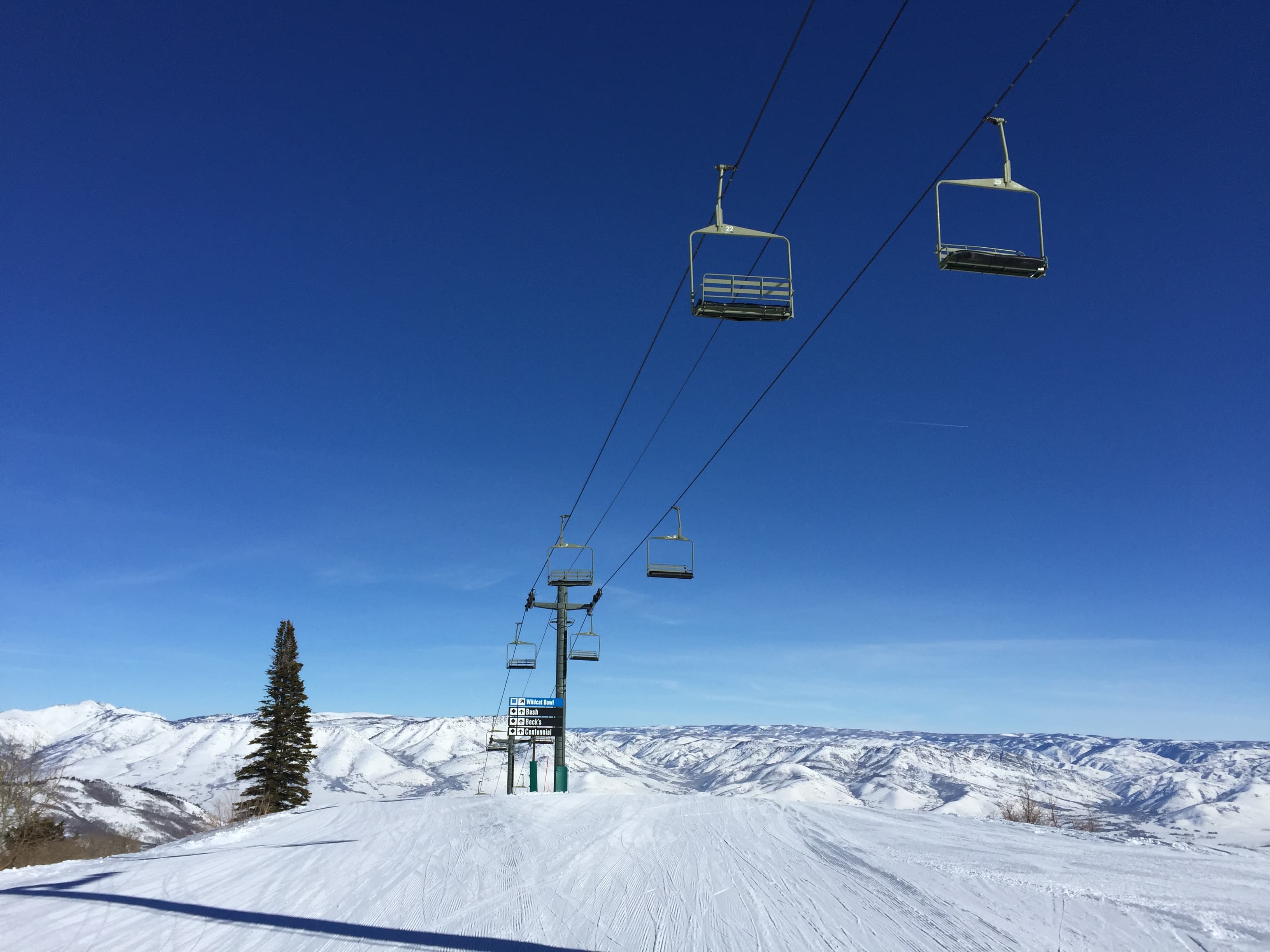 A Compromised Immune System