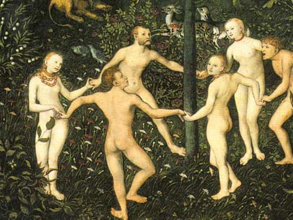 Into the Wild Retreat  – Blue Mountains