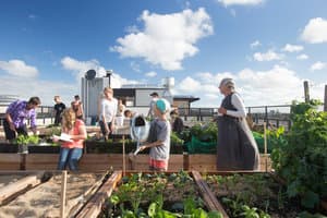 Cheaper and No Cracks: Could This Housing Model Revolutionise the Building Industry?