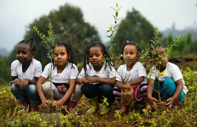 Ethiopia Plants 350 Million Trees in One Day