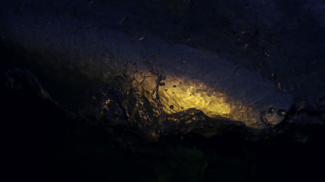 All the Time in the World