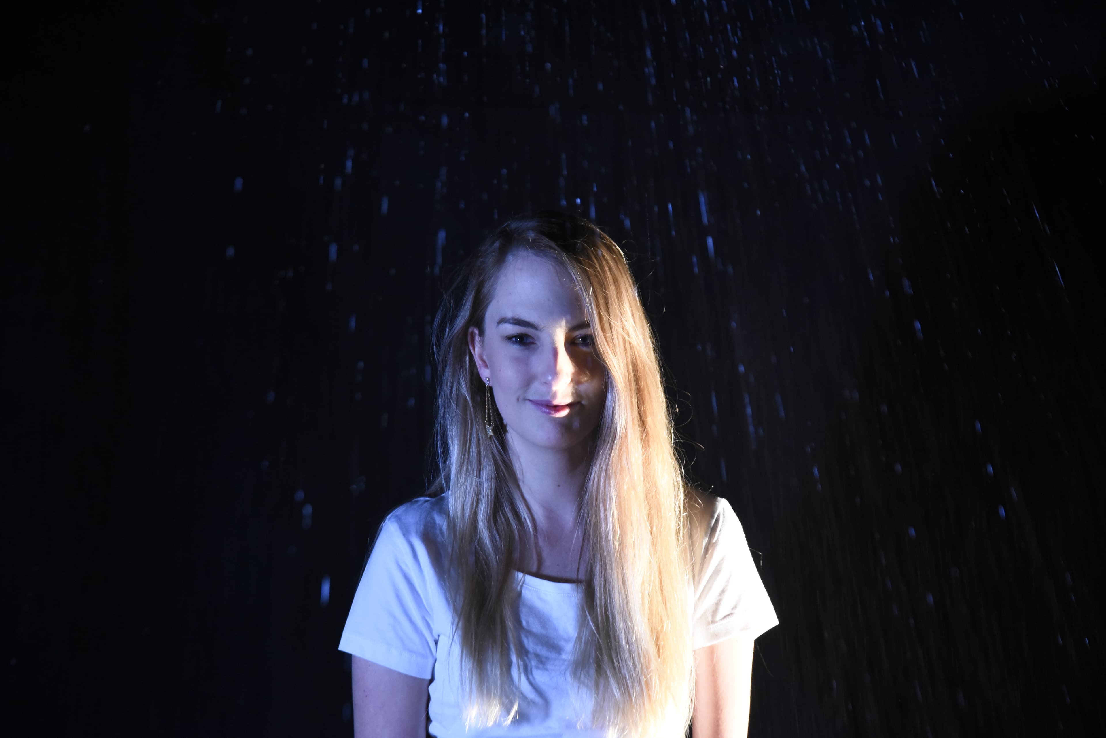 The Experts by Harness Ensemble