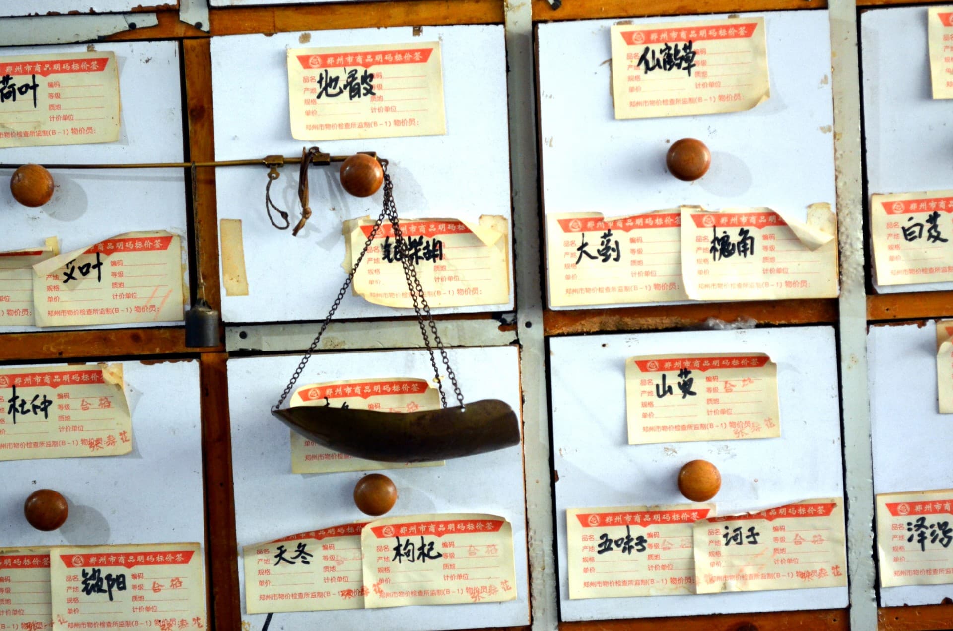 Traditional Chinese medicine course at UTS cancelled