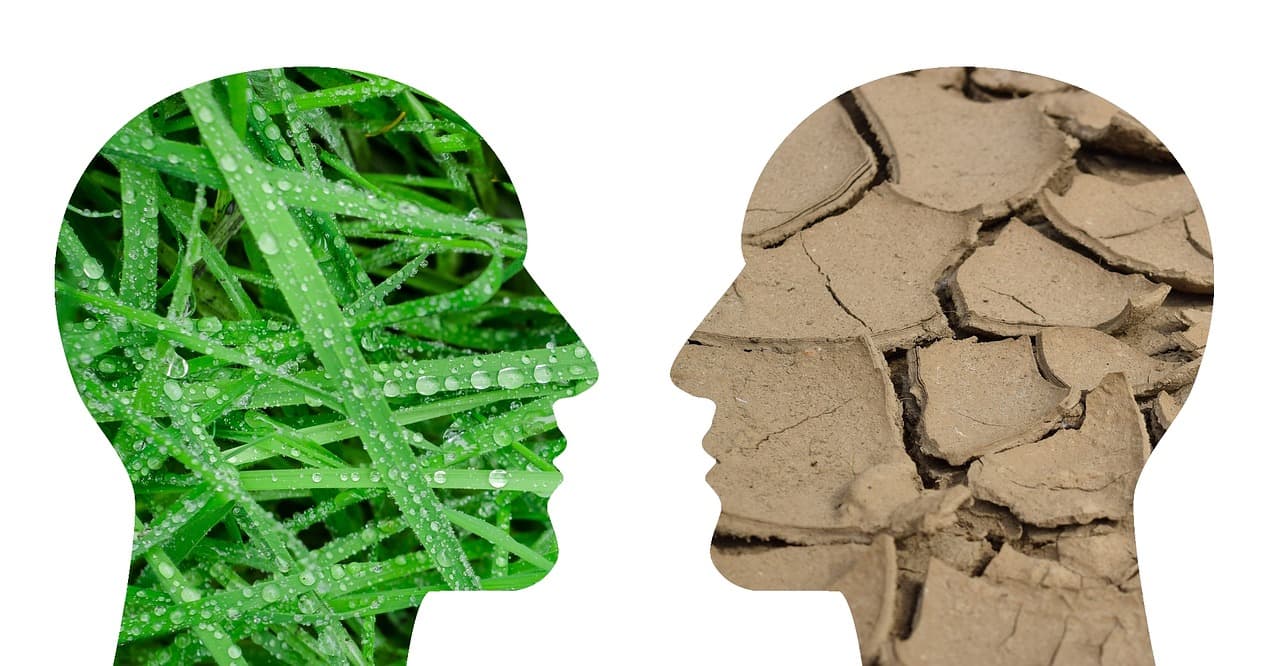 Ignoring Young Peoples Climate Change Fears Is A Recipe For Disaster