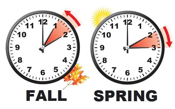 Spring Forward, Fall Back: Daylight Savings