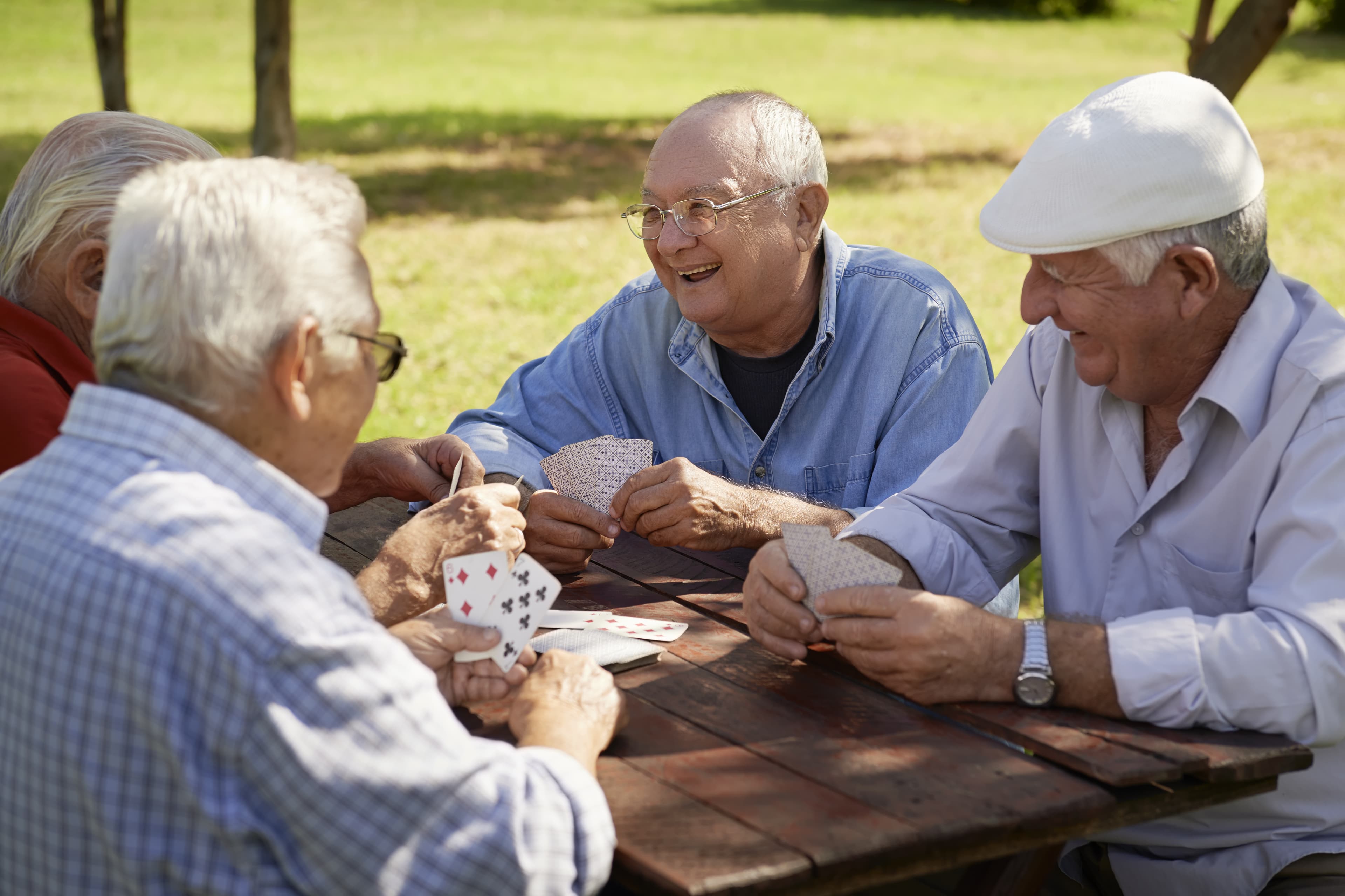 Social Interaction & Protecting Mental Health in Old Age