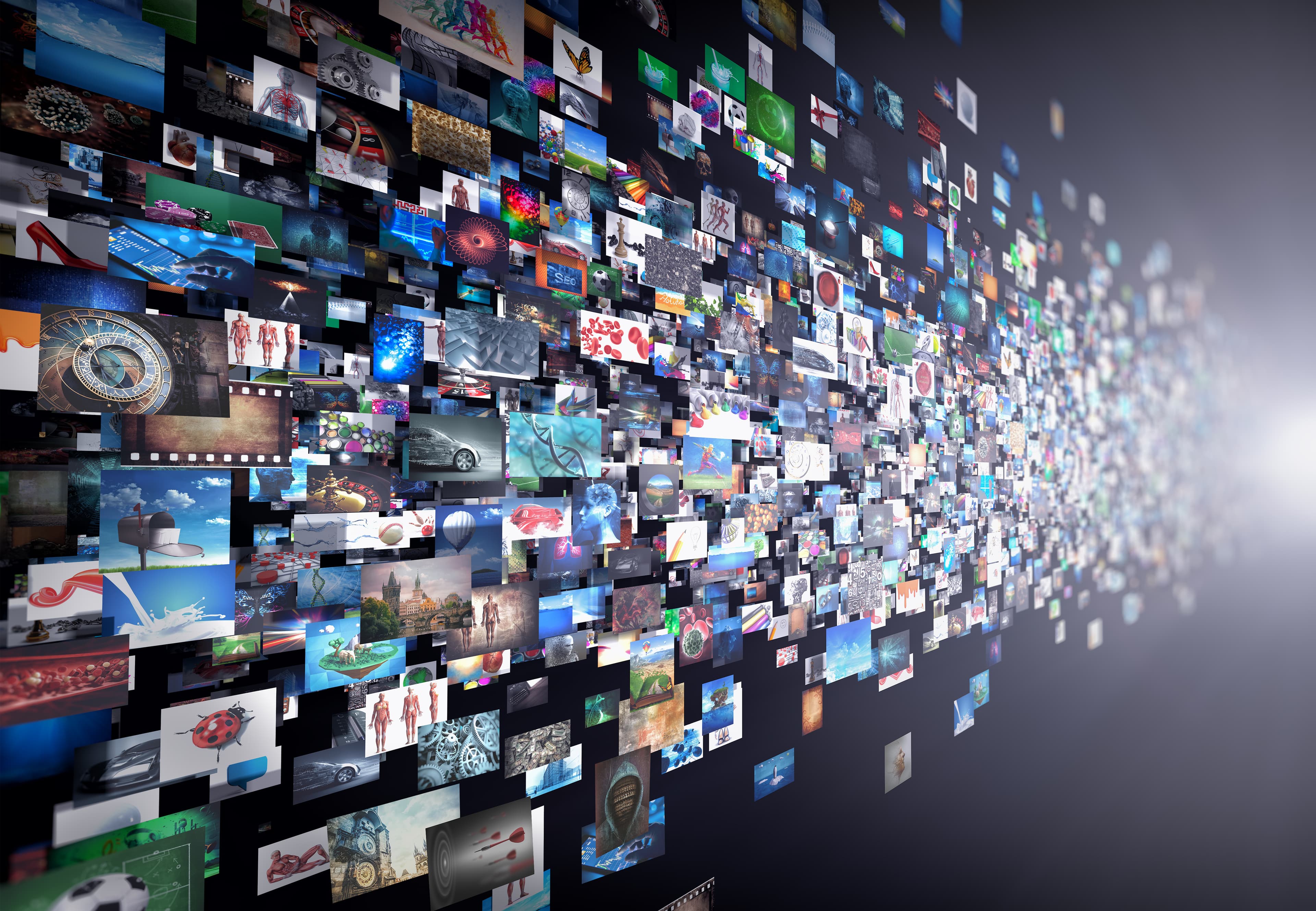 Swimming Up Stream – 27th October 2019