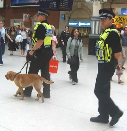 Sniffer Dog Spike and the Hard Line Approach to Drugs