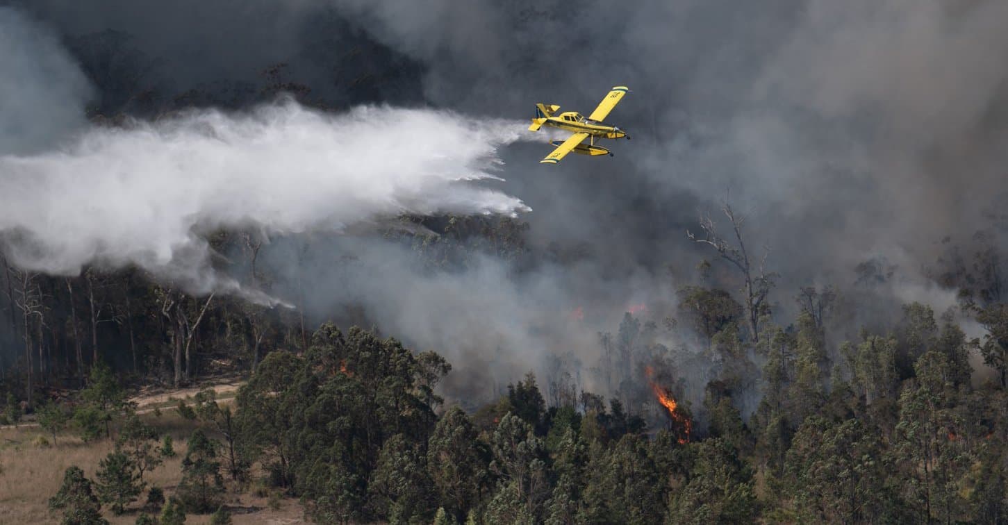 LGBTQIA+ Community in Focus During Bushfires