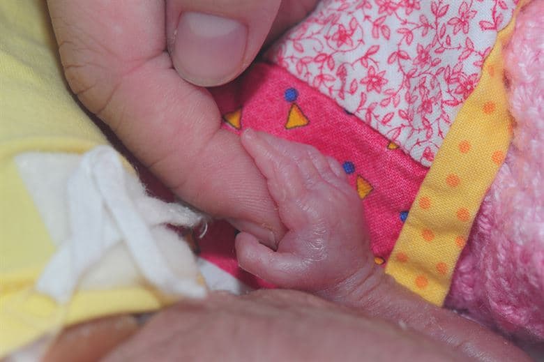 Artificial Wombs – No Longer the Realm of Imagination