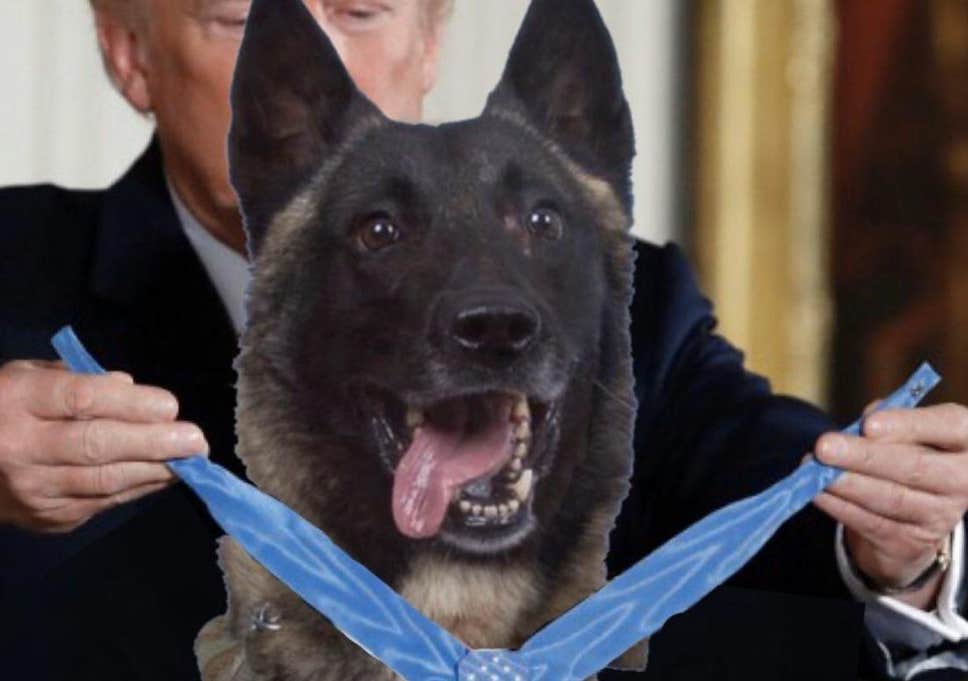 US of Ed: Who’s a Good Boy?