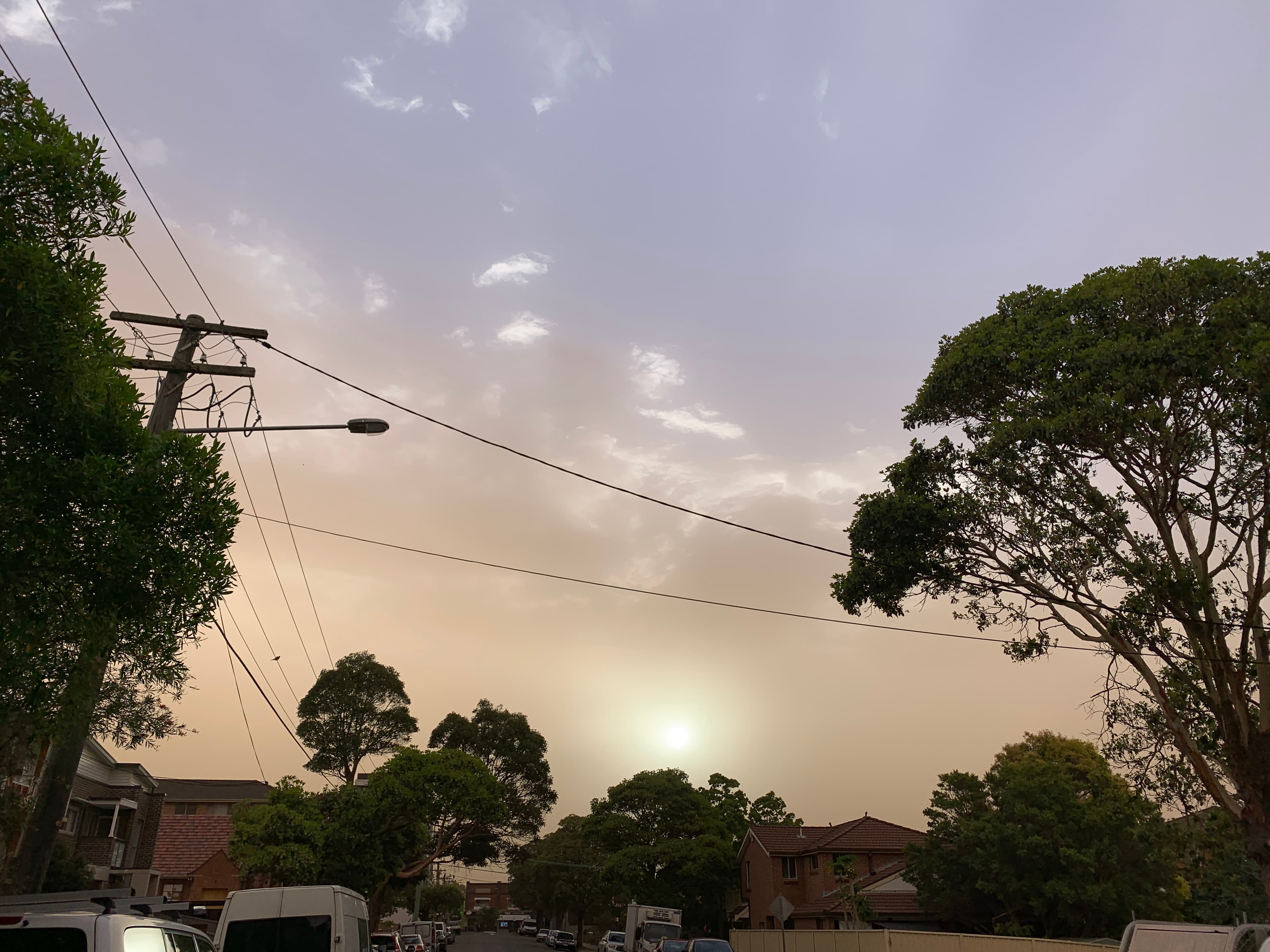 Bush Fires and Respiratory Health