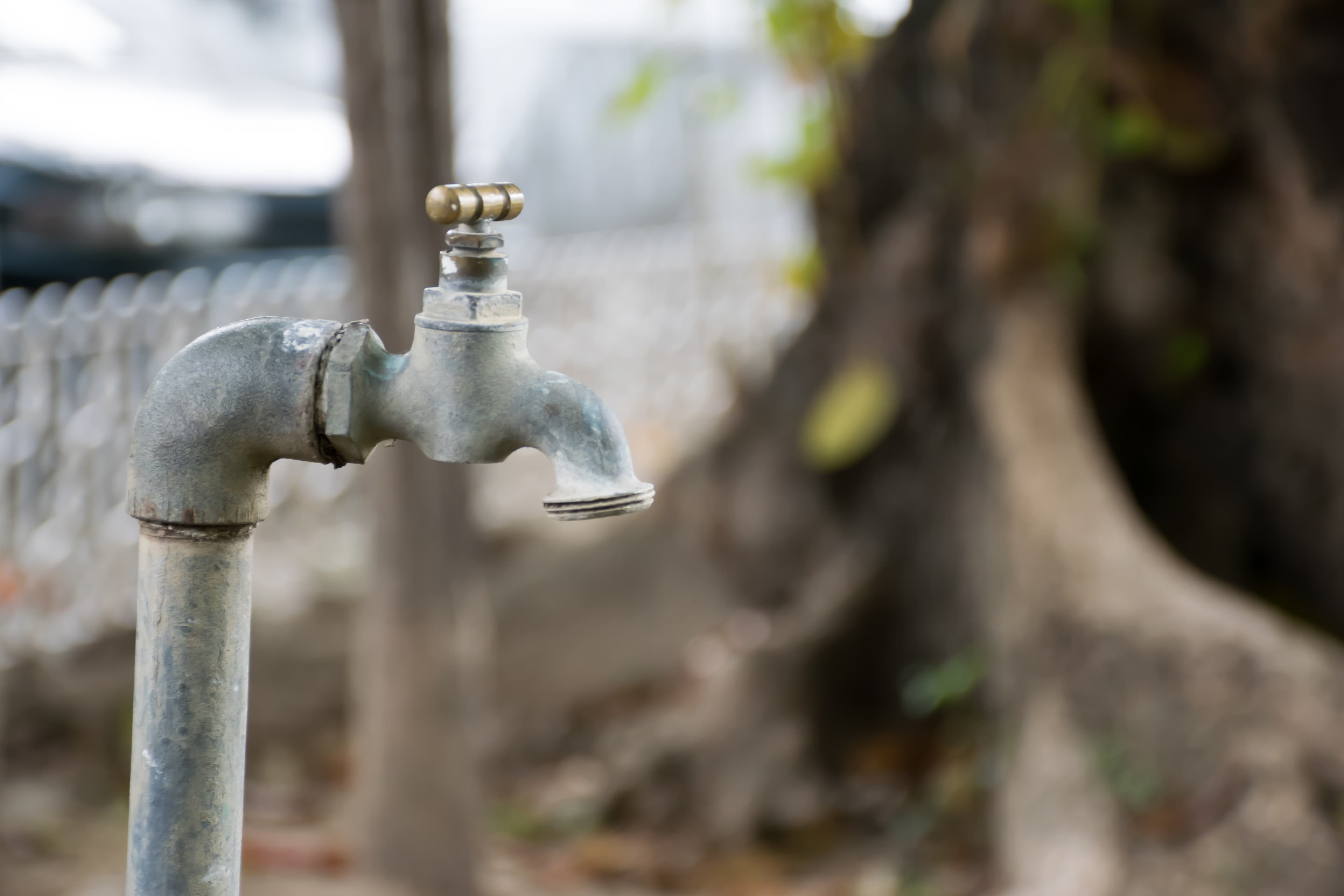Water Restrictions in Sydney