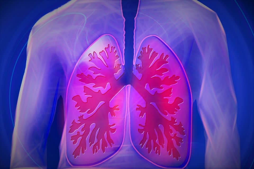 The Link between Heart and Lung Health