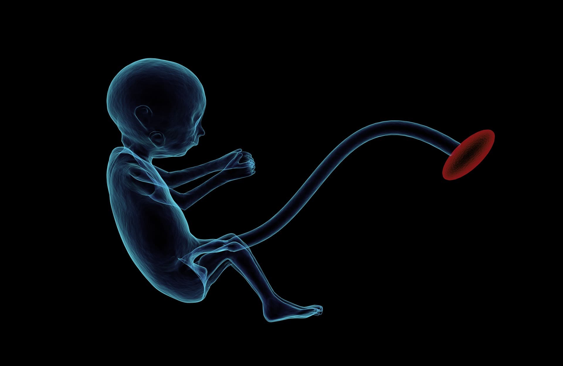Is The World Ready For Human Embryo Modification?