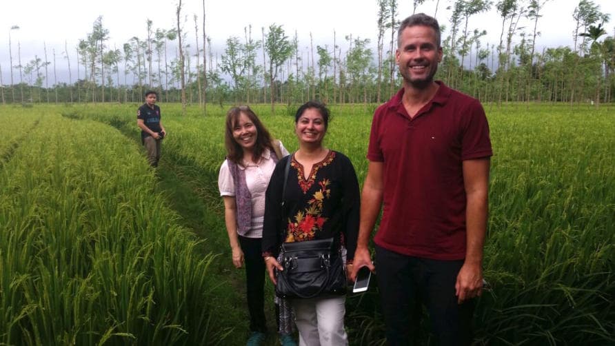 Bio-Fortification Fighting Malnutrition