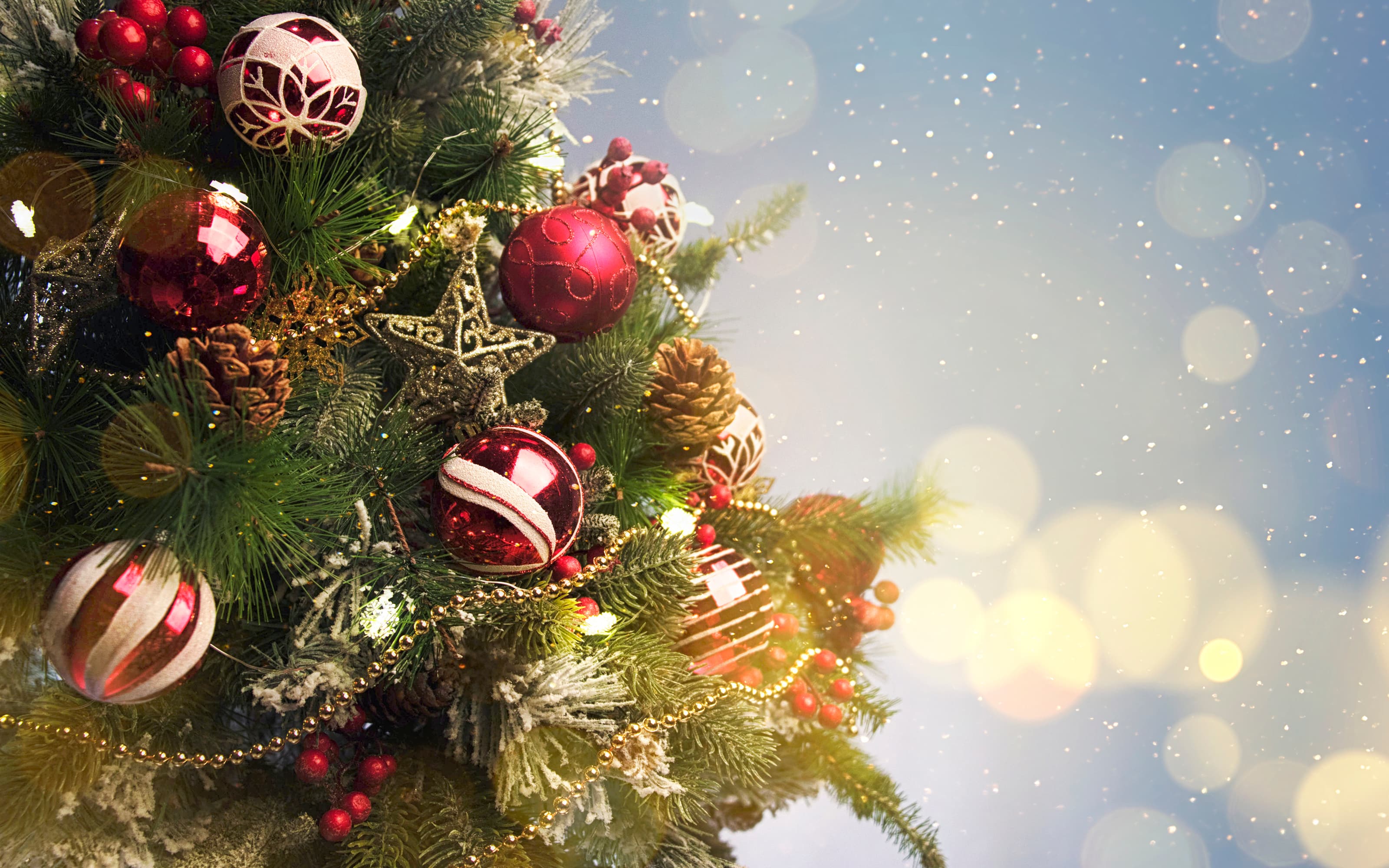 “What Christmas in Cabramatta Looks Like”