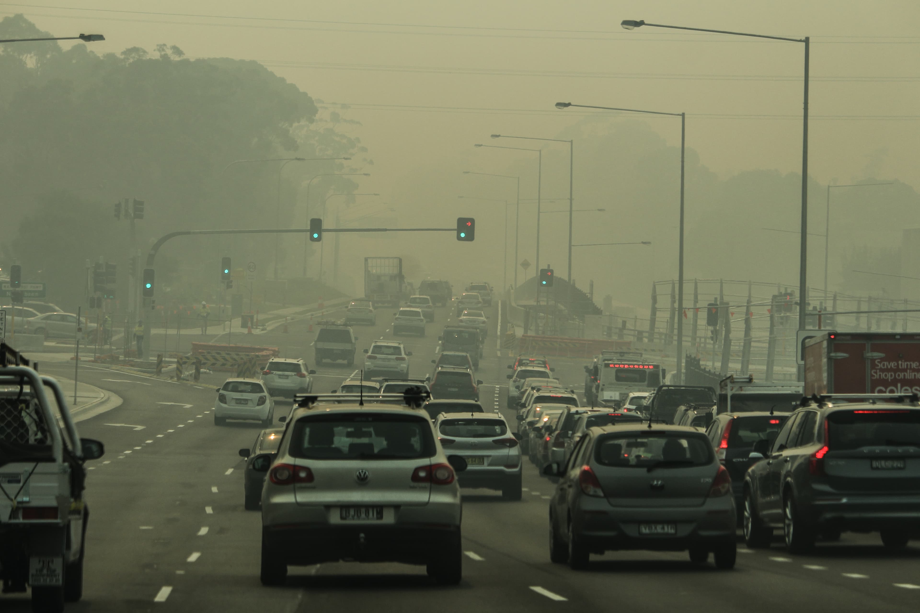 Waverley Council Declares State of Climate and Biodiversity Emergency