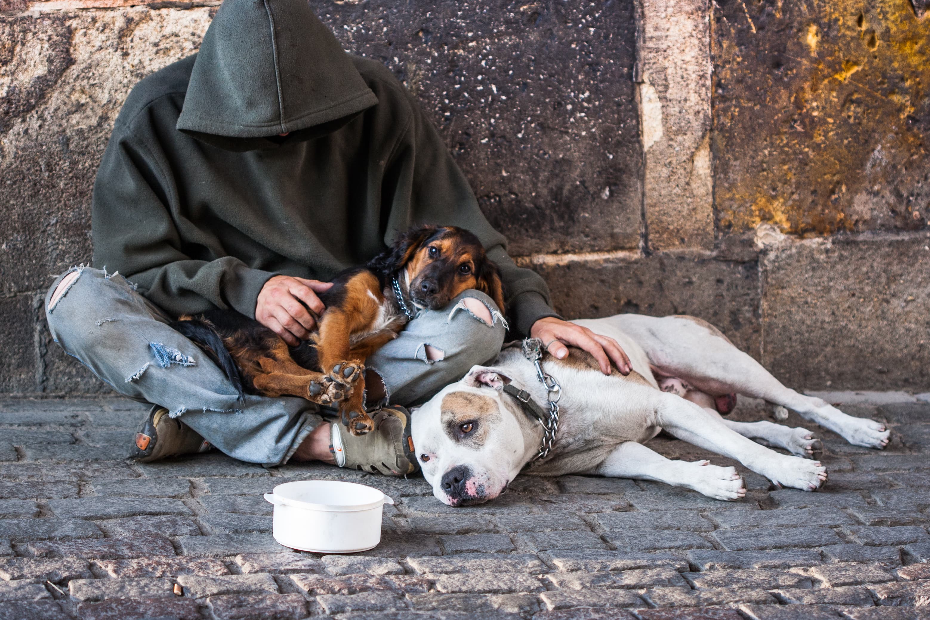 Tackling Homelessness in NSW