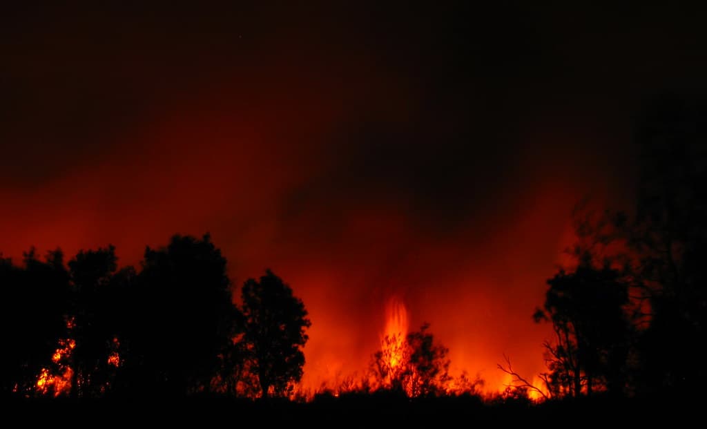 Understanding the Australian bush in the era of extreme bushfires
